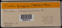 Image Associated With the Occurence